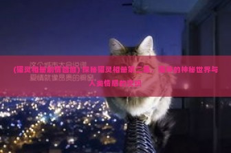 (猫灵相册剧情回顾) 探秘猫灵相册第二集，猫咪的神秘世界与人类情感的交织