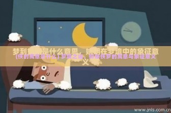 (佚的寓意是什么) 梦境之谜，探秘佚梦的寓意与象征意义