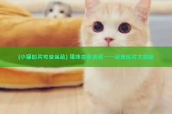 (小猫图片可爱呆萌) 猫咪零食诱惑——萌宠图片大揭秘